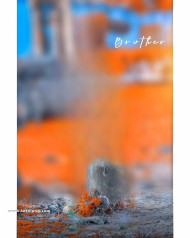 brother new cb background