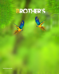 Brothers Cb Editing Background