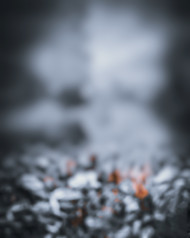 Brown cb editing background (1)