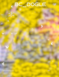 Bs dogle cb background
