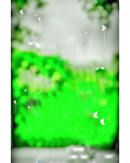 Btterflies cb editing background