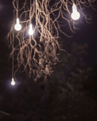 Bulbs editing background