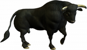 bull png