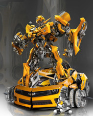 Bumble bee editing background hd