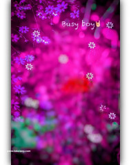 Busy boy photoshop hd cb background