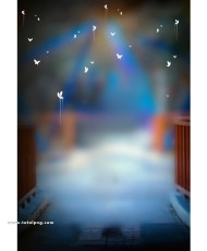 Butterflies CB Background download