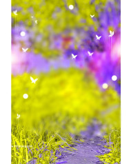 Butterflies cb background free download
