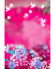 Butterflies cb editing background,Picsart cb cb editing background