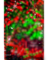 Butterflies hd cb editing background