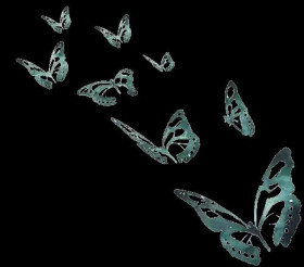 Butterflies png