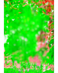 Butterflies Trending Cb editing Bcakground