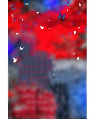 Butterfly and blur hd cb editing background,Snapseed hd cb editing background