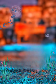 Butterfly Cb background Download