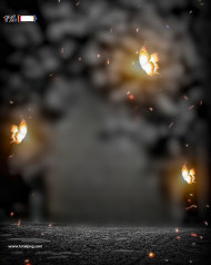 Butterfly Cb Editing Background