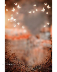 Butterfly cb editing background free download