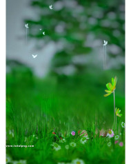 Butterfly cb editing background new