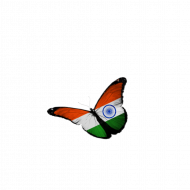 Butterfly transparent background