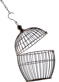 cage PNG Transparent Images Free