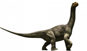 Camarasaurus Dinosaur transparent png, full hd Dinosaur transparent background