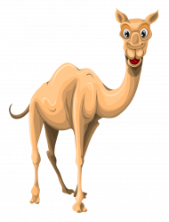 camel transparent clipaert background
