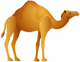 cartoon camel hd png