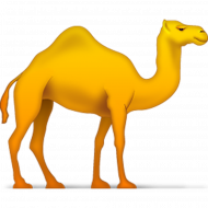 cartoon camel transparent background