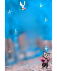 Cat hd cb editing background,hd cb editing background