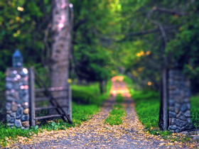 Cb Background 2022 By totalpng