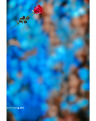 CB Background HD 2023 For Photo Editing