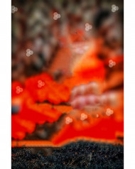 CB background snapseed