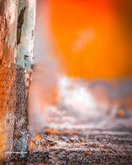 Cb Blur Editing Background