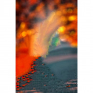 Cb Edit Background HD For Picsart 2022