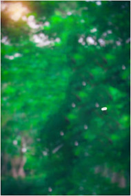 Cb Edit Hd Backgrounds Download