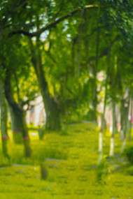 Cb Edit Hd Backgrounds Download