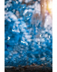 cb editing background