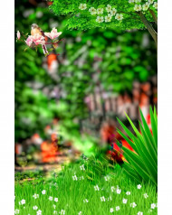 cb editing background