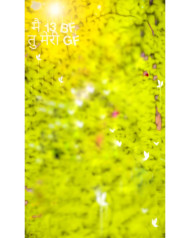 cb editing background