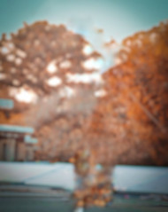 Cb editing background download (1)