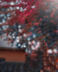 Cb editing background download (2)