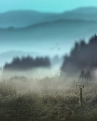 CB Editing Background Download For Picsart   1080x1350