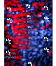 Cb editing background For Mobile Editing