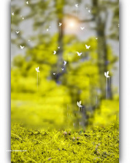 cb editing background for snapseed