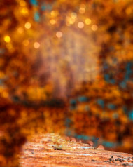 Cb Editing Background images