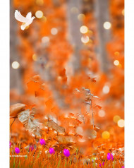 Cb Editing Background Picsart