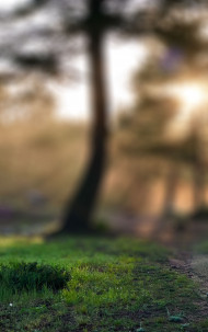 Cb Editing HD Background by totalpng