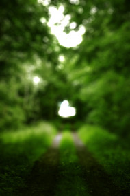 Cb Editing HD Background by totalpng