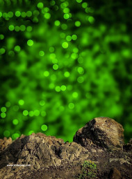 Cb editor background