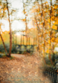 Cb edits background full hd download