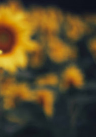 Cb edits background full hd download