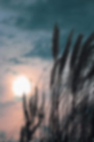 Cb HD Background by Totalpng